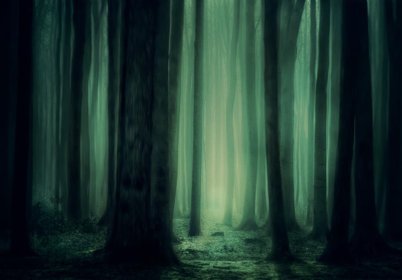 Enchanted Glowfern