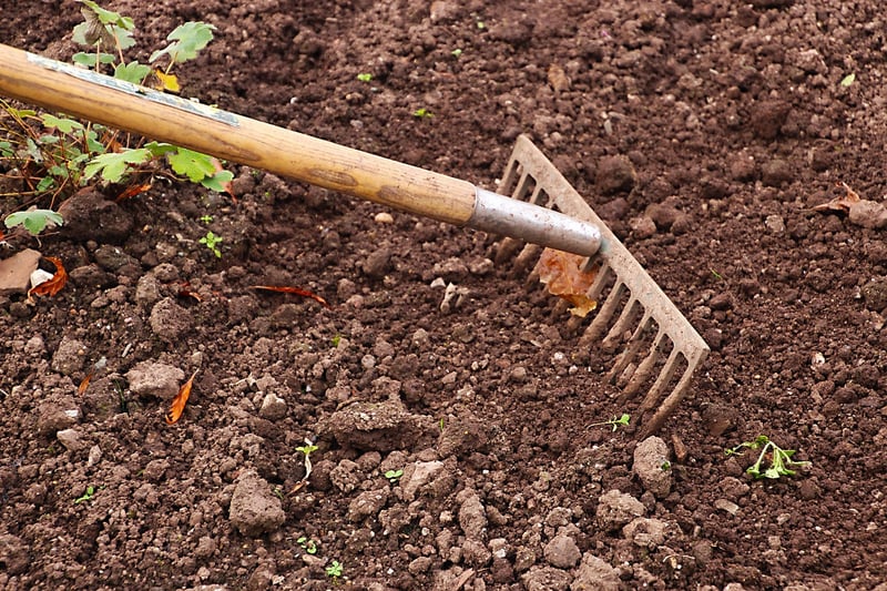 Gardening Land